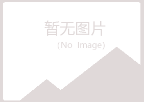 蒲县夏岚采矿有限公司